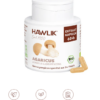 Agaricus_Hawlik