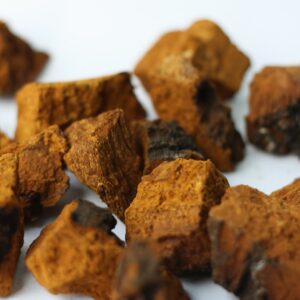 Chaga Schrot I Naturstoffküche 250 g