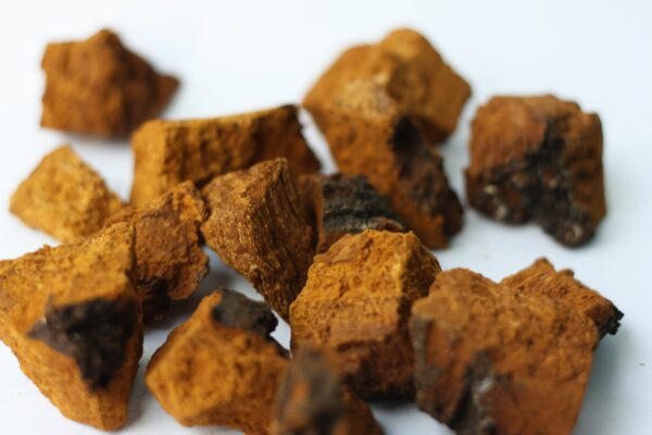 Chaga Schrot I Naturstoffküche 250 g